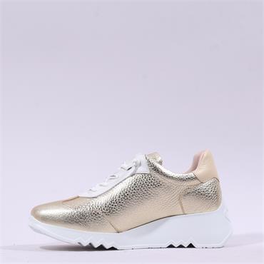 Wonders Kyoto Wedge Bungee Lace Trainer - Gold